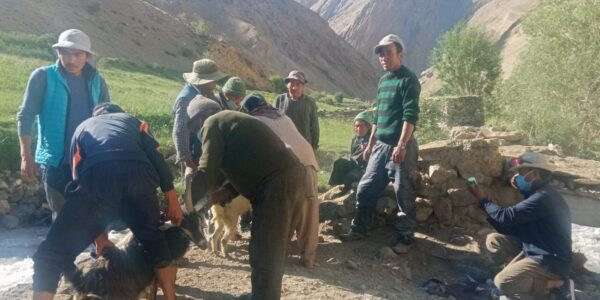 Awareness camp on FMD held in Singay Lalok