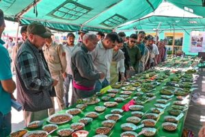 Horticulture Department organizes annual exhibition at Batalik