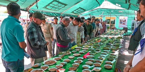 Horticulture Department organizes annual exhibition at Batalik