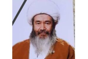 Ayatollah Sheikh Hasnain Shabani Al-Najfi Passes Away