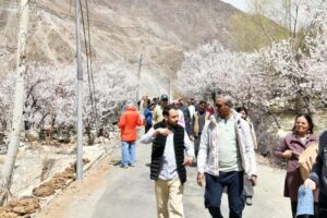 Apricot Blossom Festival Draws Tourists to Kargil’s Blooming Orchards with Cultural & Adventure Experiences