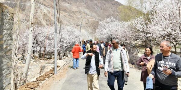 Apricot Blossom Festival Draws Tourists to Kargil’s Blooming Orchards with Cultural & Adventure Experiences