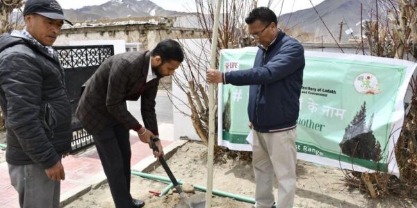 Plantation Drive Held at DC Office Nyoma Under “Ek Ped Maa Ke Naam” Initiative