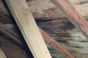 Residents in Sankoo’s Lankerchey Raise Alarm Over Rotten Wooden Roof Beams, Seek Urgent Probe