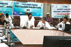 DC Kargil Chairs District Level Review Committee Meeting to Assess Banking and Credit Progress
