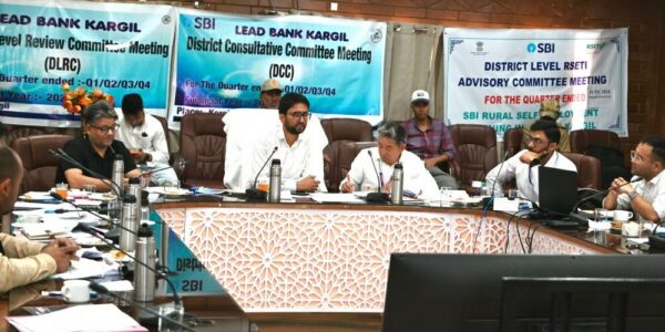 DC Kargil Chairs District Level Review Committee Meeting to Assess Banking and Credit Progress