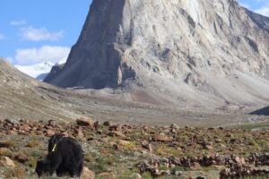 Ladakh Records 60.6% Surge in Tourist Arrivals in September 2026; Year-to-Date Footfall Already Surpasses Full-Year 2025