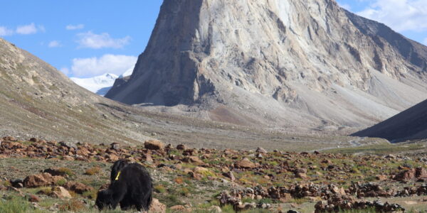 Ladakh Records 60.6% Surge in Tourist Arrivals in September 2026; Year-to-Date Footfall Already Surpasses Full-Year 2025